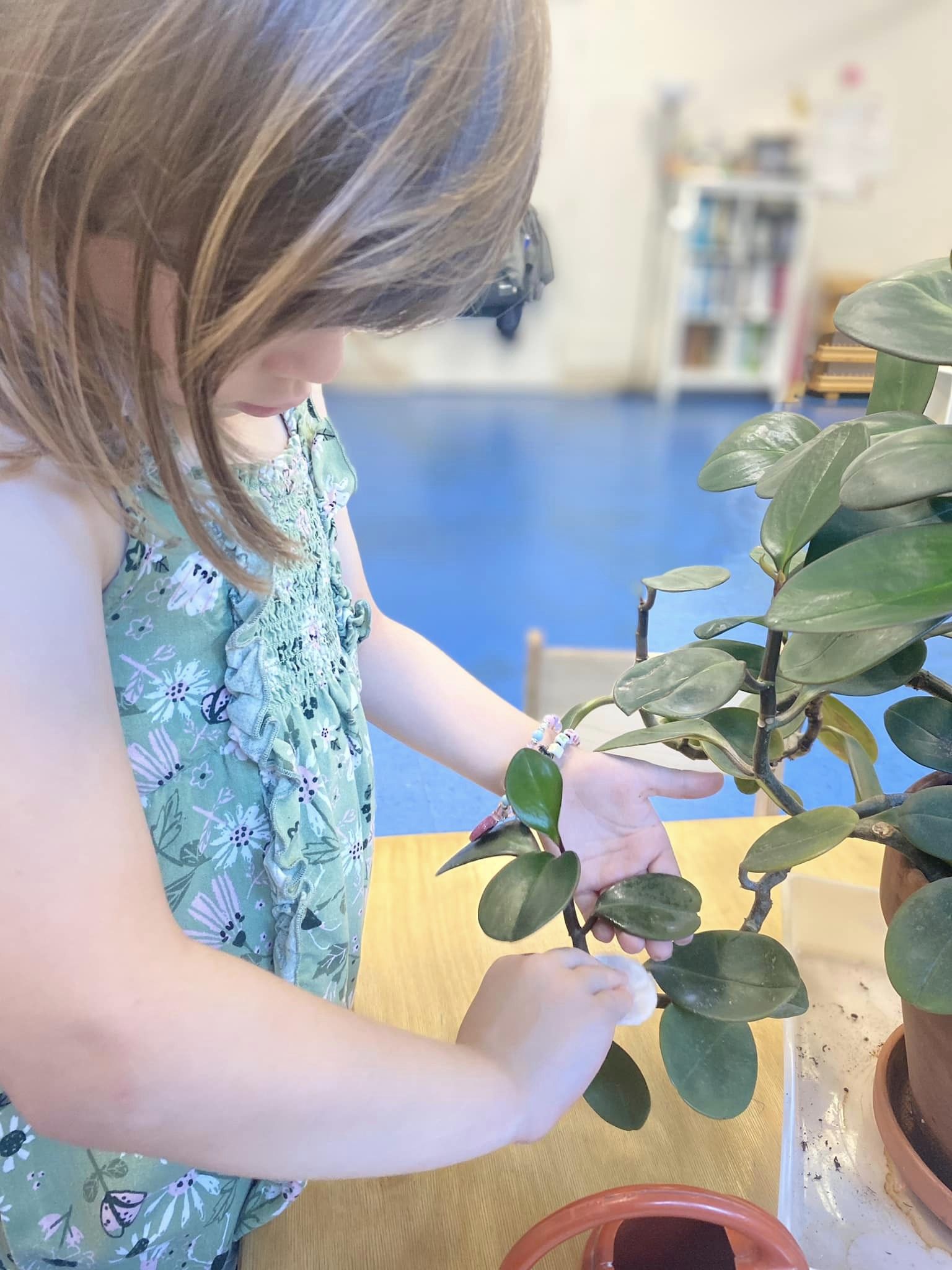 Introduction à la philosophie Montessori 26 avril 2025 à Montréal